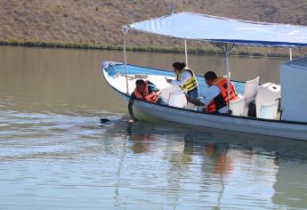 ¡Ya puedes visitar al Pechocho! El delfín se recupera de sus lesiones