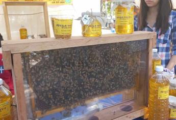 «Miel y abejas» en expo Apícola 2022