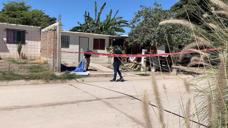 Muere hombre en Los Mochis, fue atropellado por su vecino con quien «andaba amanecido»