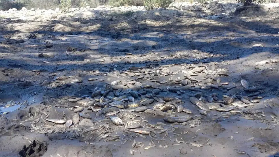 FOTO: MJ Velázquez Vega.