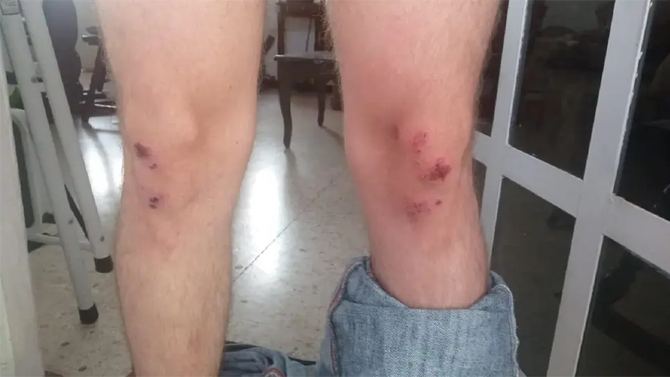 FOTO: Luz Noticias | Archivo.