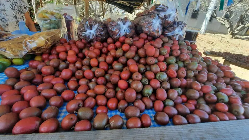 FOTO: Tahiry Zambrano.