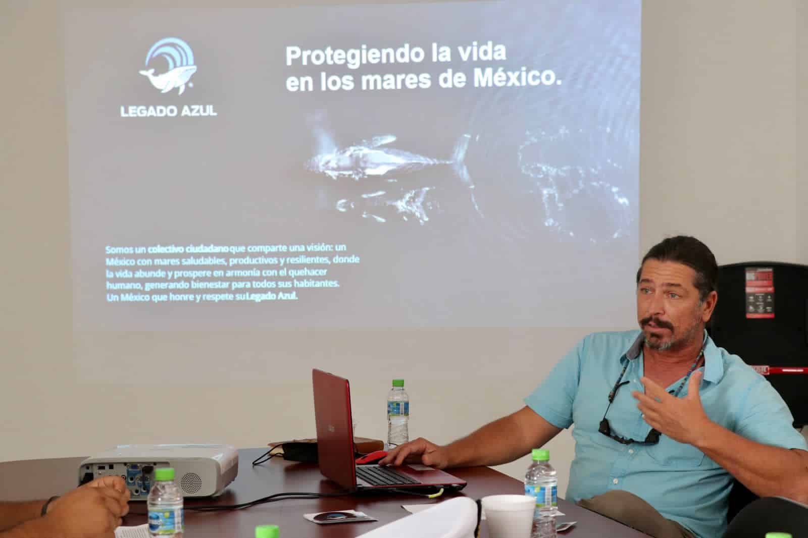 Trabajan para  regular el avistamiento de ballenas