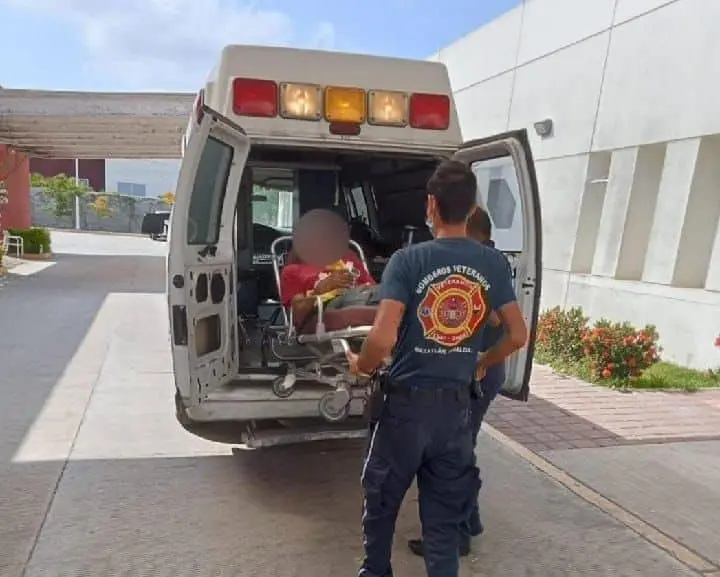 Cocodrilo ataca a adulto mayor y lo manda a urgencias en Mazatlán