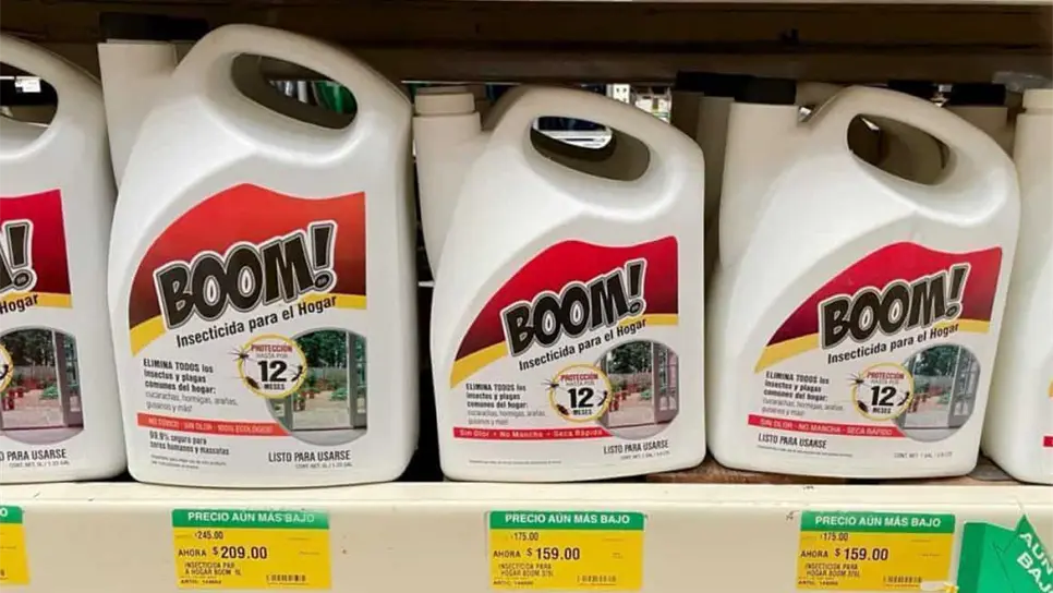 FOTO: Esthela García.