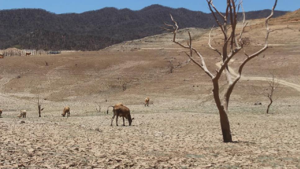 Sinaloa, dentro de los 5 estados con mayor sequía en México
