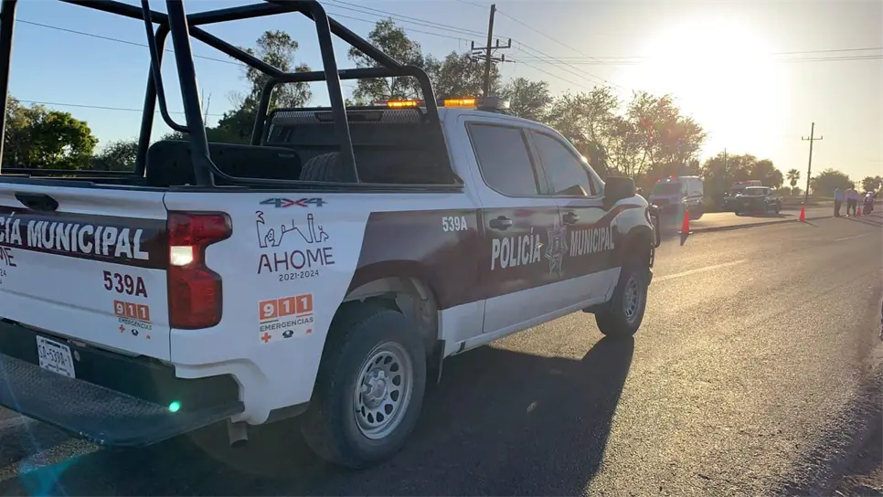 FOTO: Luz Noticias | Temática.