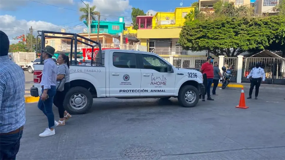 Animalistas, inconformes por falta de capacitación sobre maltrato animal en policías de Ahome