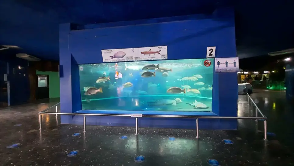 Acuario Mazatlán celebra el Día Mundial de los Océanos