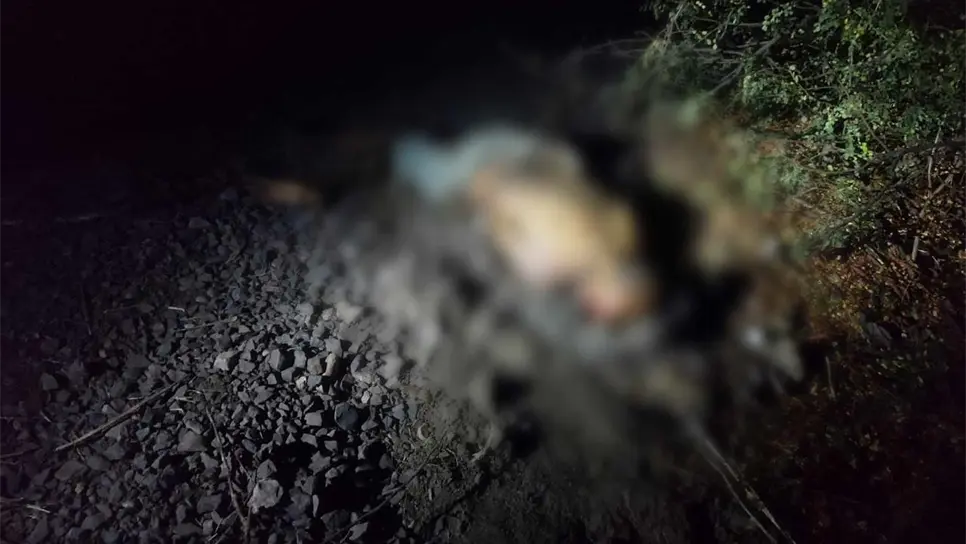 FOTO: Ángel Zamudio.