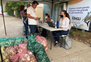 Recolectan casi media tonelada de conchas de ostiones para limpiar el mar