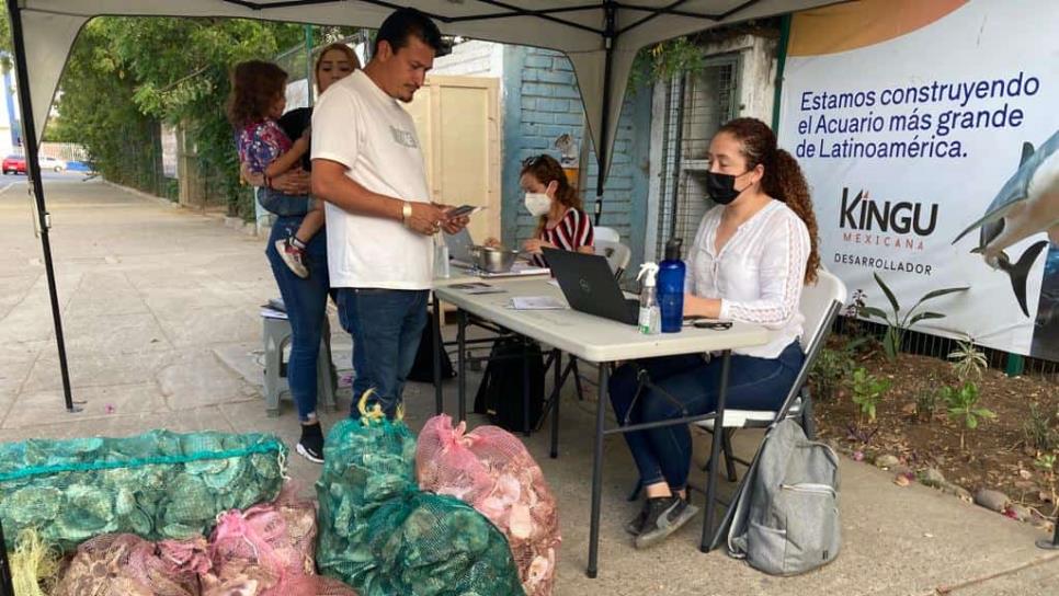 Recolectan casi media tonelada de conchas de ostiones para limpiar el mar