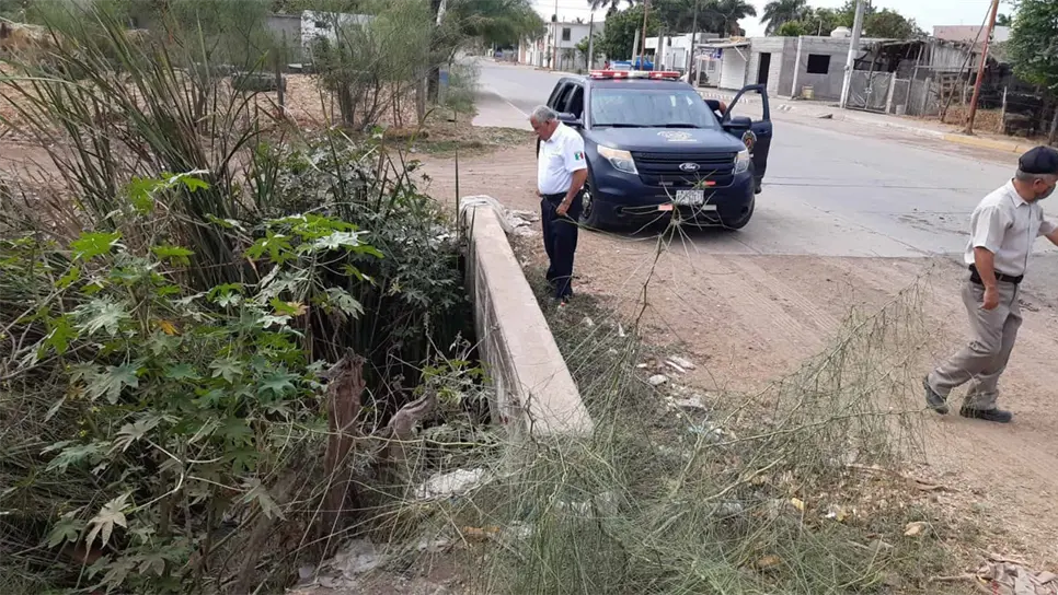 FOTO: Cortesía.