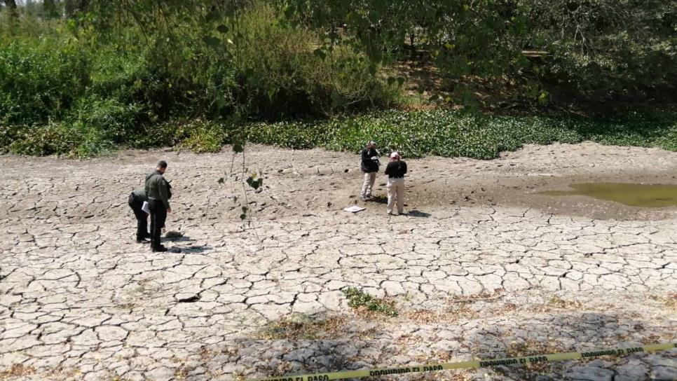 Encuentran cráneo junto al Parque Acuático de Culiacán