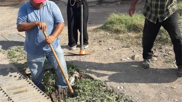 Nota Relacionada de Sinaloa