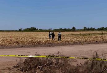 Camioneta con manchas de sangre era de un trailero ejecutado y tirado en Guayparime