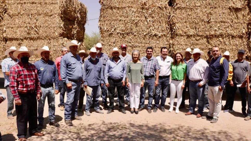 Entregan apoyos emergentes  por sequía a ganaderos en Salvador Alvarado