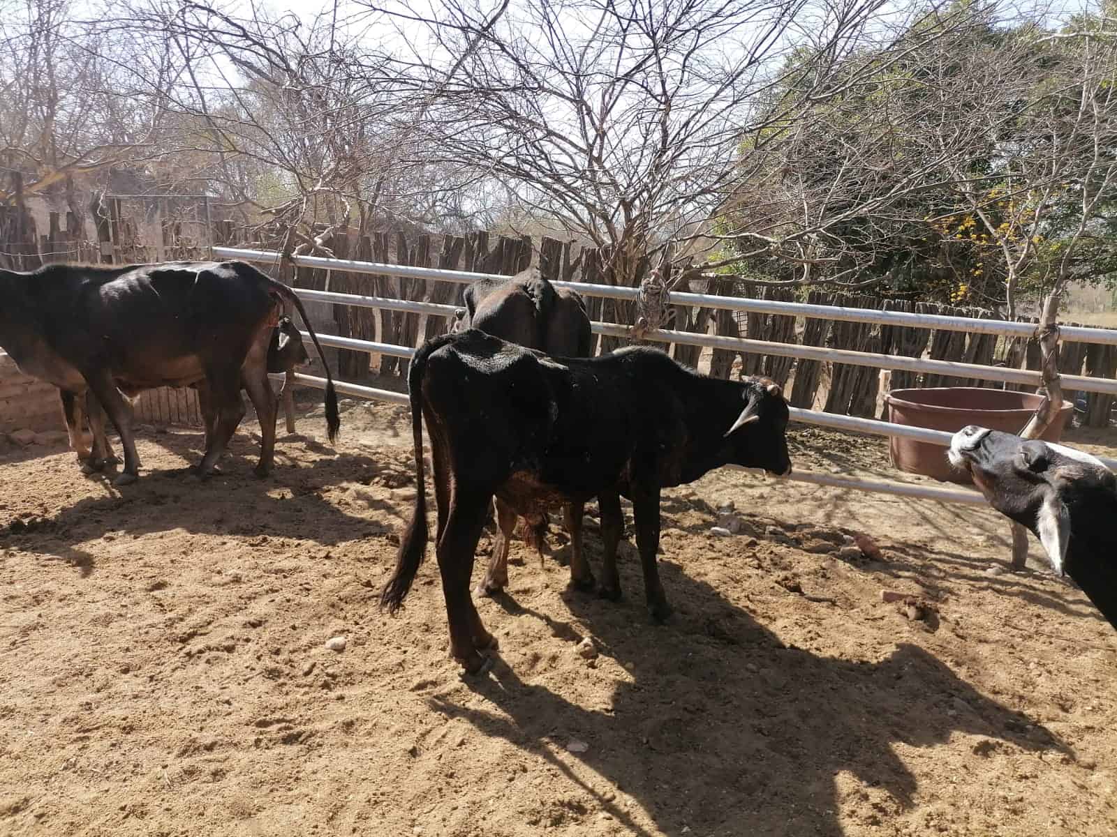 FOTO: Tahiry Zambrano.