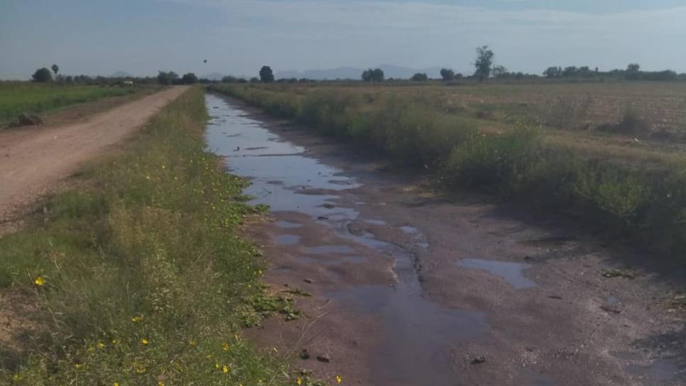 Por bajos niveles de agua en canales, 3 potabilizadoras dejaron de operar: JAPAMA