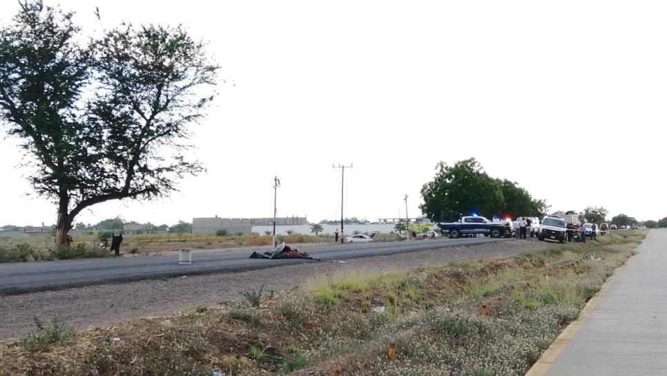 Joven jornalero muere tras caer de vehículo en la carretera La 20, en Villa Juárez, Navolato