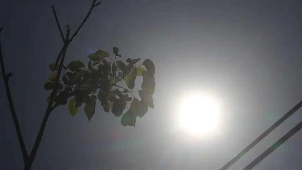 FOTO: Luz Noticias | Temática.