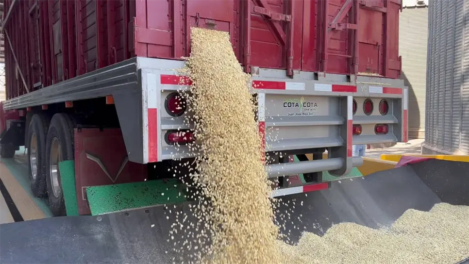 FOTO: Esthela García.