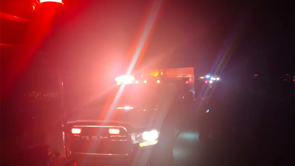 Tráiler arrolla y mata a una vaca en el libramiento de Mazatlán