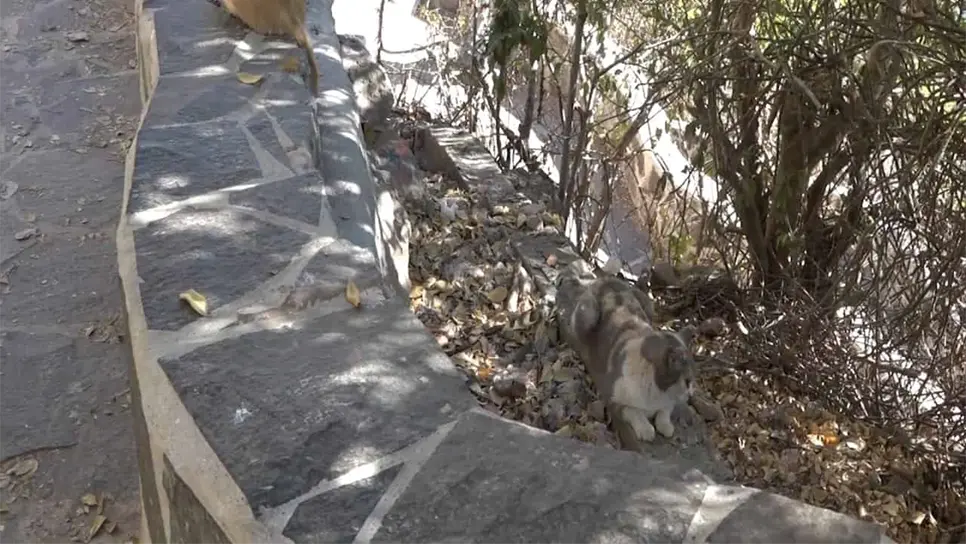 FOTO: Tahiry Zambrano.