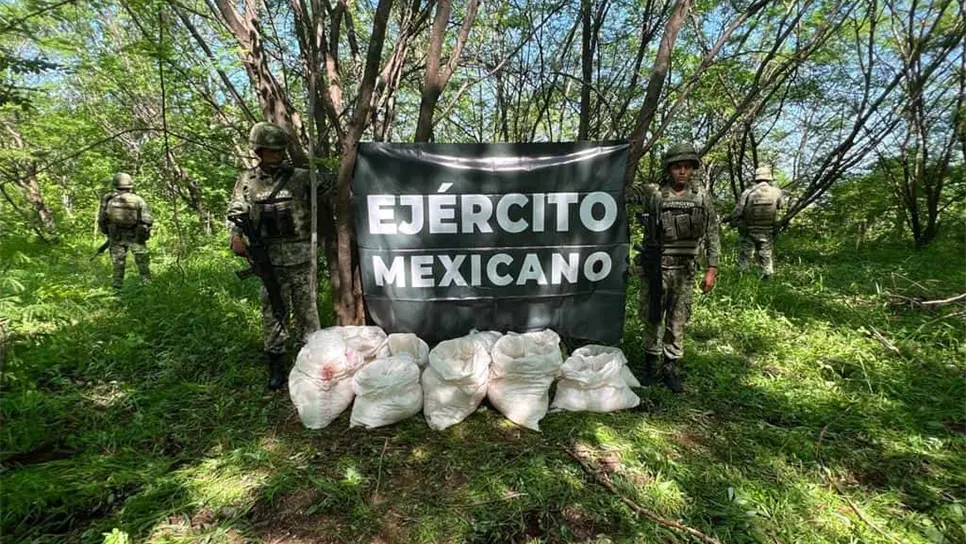 Ejército asegura 200 kilogramos de metanfetamina en Sinaloa
