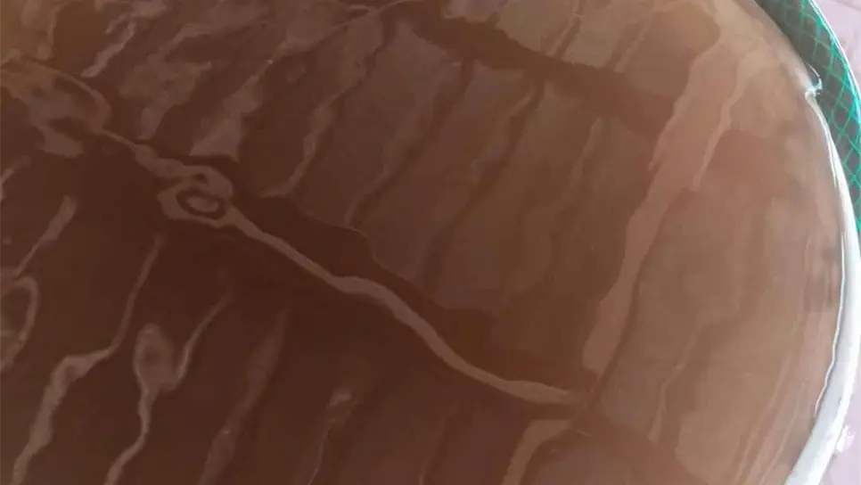 Habitantes de San Blas se quejan de agua potable de pésima calidad