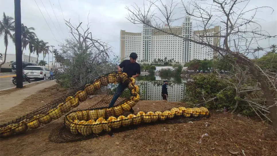 FOTO: Tahiry Zambrano.