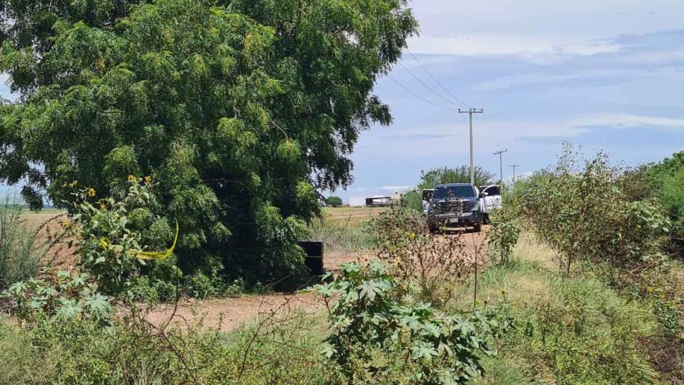 Hallan camionetas en Guasave con dos personas sin vida