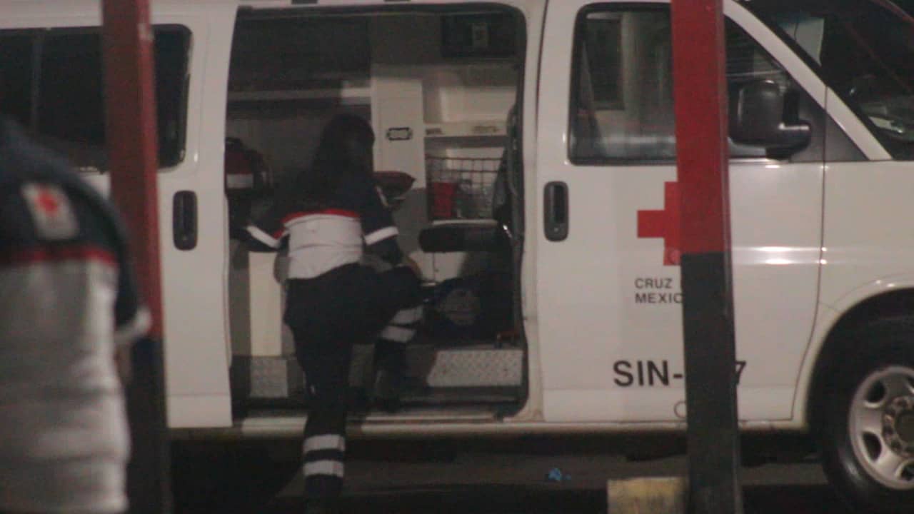 FOTO: Luz Noticias | Temática.