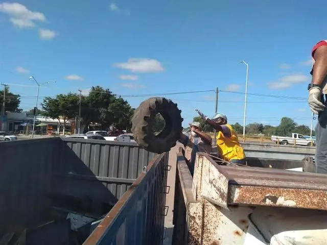 ¡Ya no aguantan los moscos! Refuerzan fumigación en colonias y comunidades