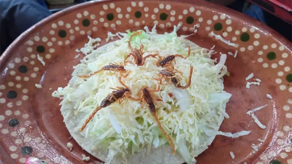 FOTO: Tahiry Zambrano.