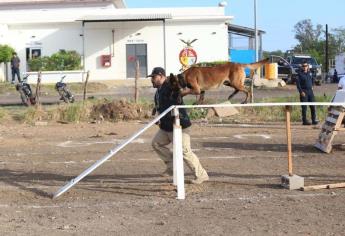 Por buena respuesta, abrirán otra fecha para curso de adiestramiento canino