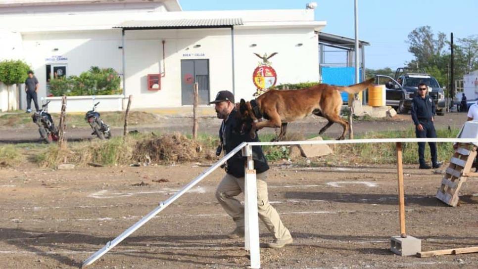 Por buena respuesta, abrirán otra fecha para curso de adiestramiento canino