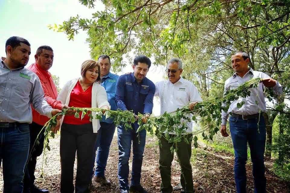 Benefician 9 mil 600 personas con el programa Sembrando Vida en Sinaloa