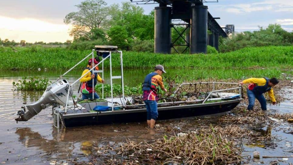 Ayuntamiento inicia retiro de desechos y lirio acuático en Presa Derivadora