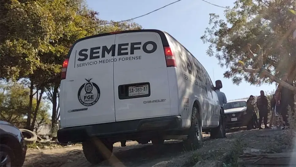 FOTO: Luz Noticias | Temática.