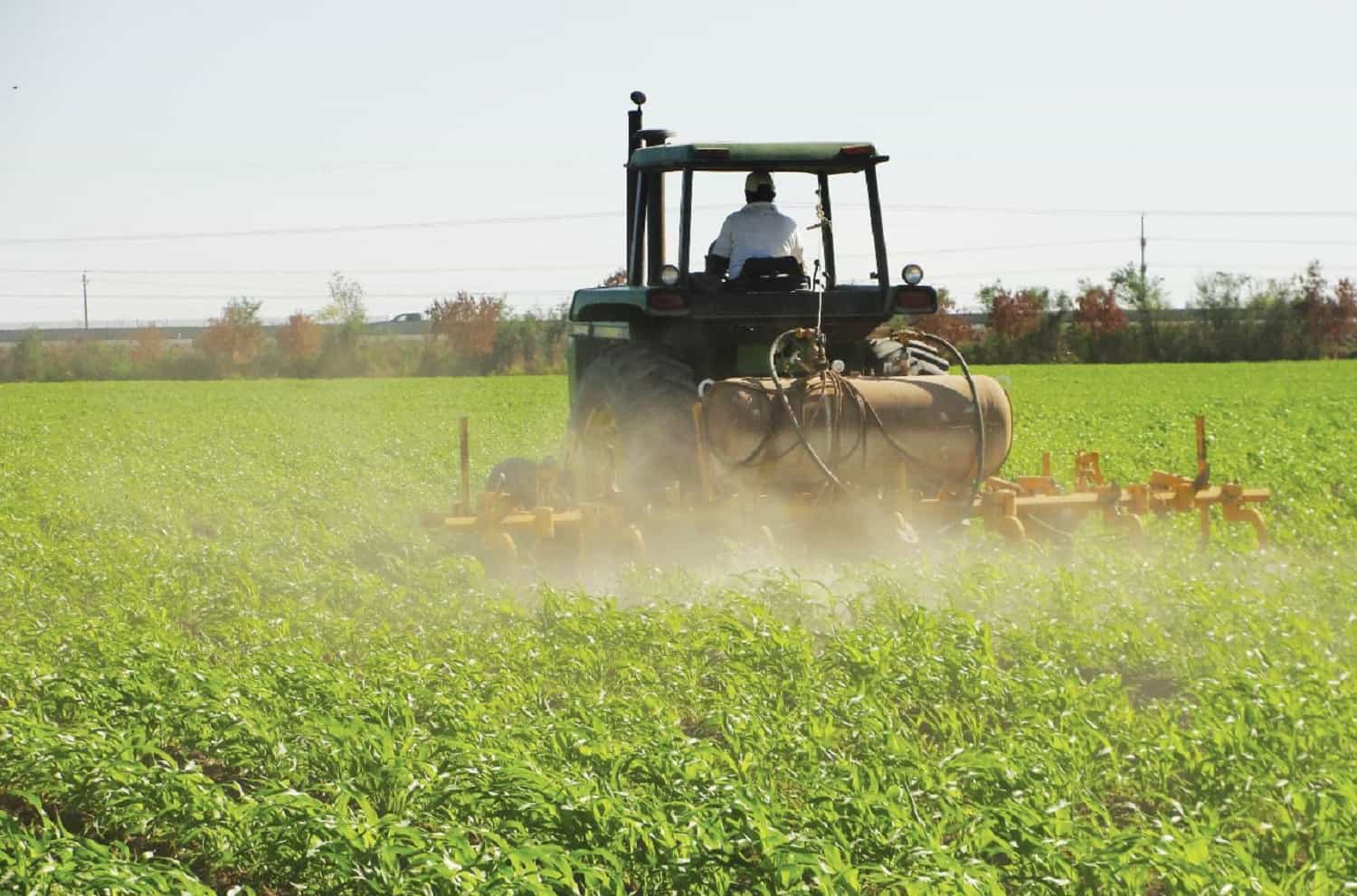 FOTO: Luz Noticias | Archivo.