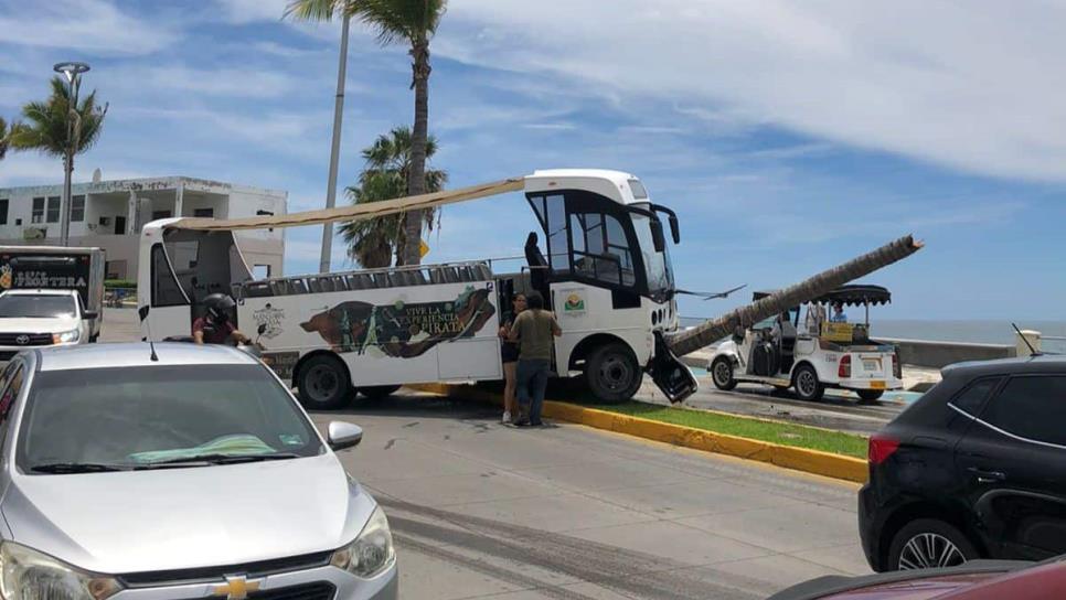 Chofer pierde el control y estrella camión de turismo contra palmera