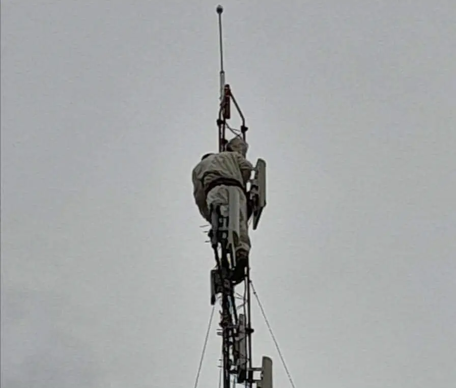 Hombre daba mantenimiento a torre de internet y enjambre lo ataca: el afectado quedó atrapado a más de 20 metros