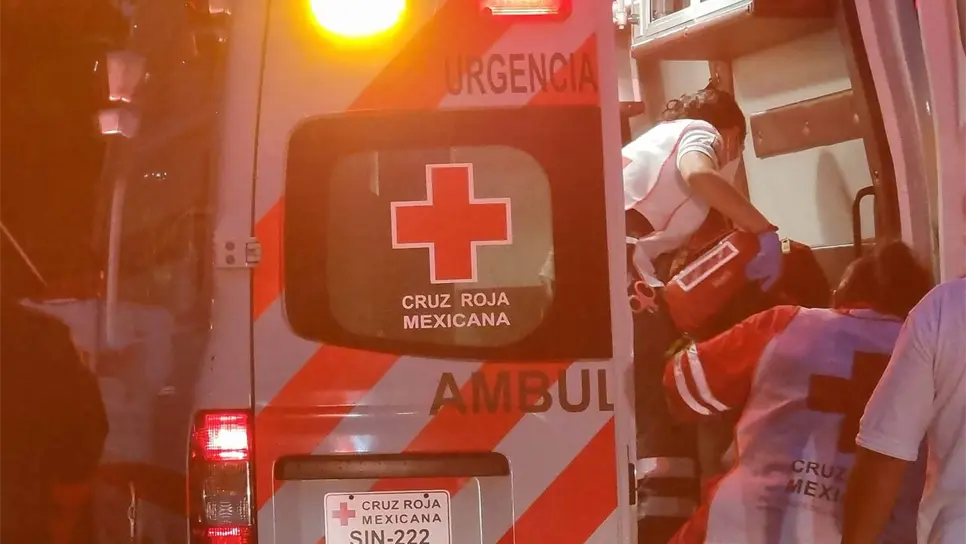 FOTO: Luz Noticias | Temática.