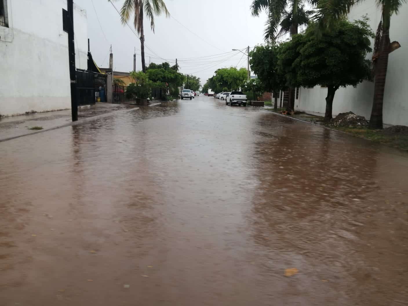 FOTO: Adriana Ochoa | Temática.