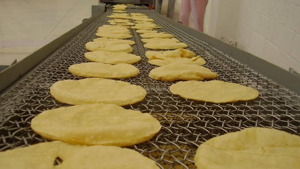 Rocha Moya e industriales buscarán evitar el aumento al precio de la tortilla