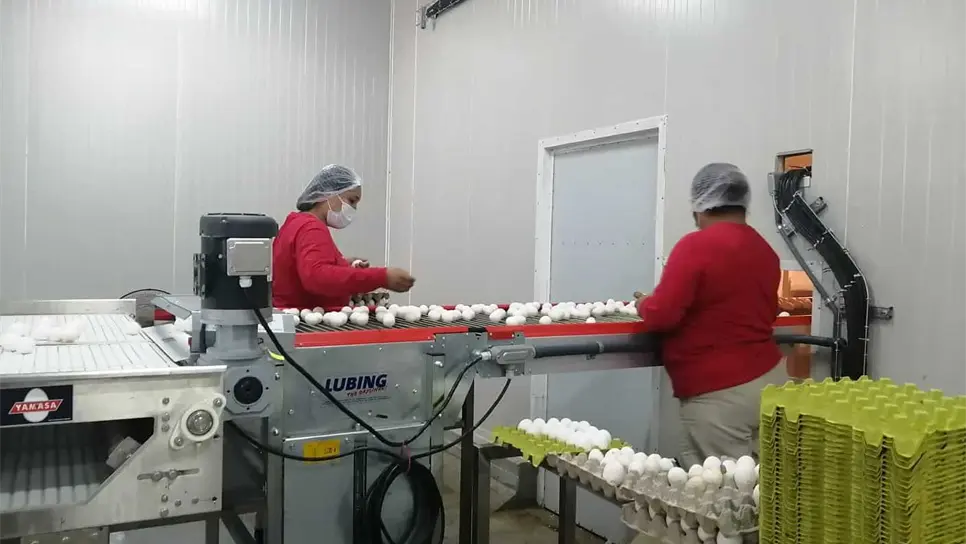 FOTO: Víctor Acosta.