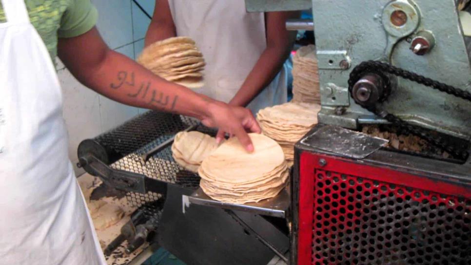 Por aumento en la tortilla, consumidores ya no compran el kilo completo