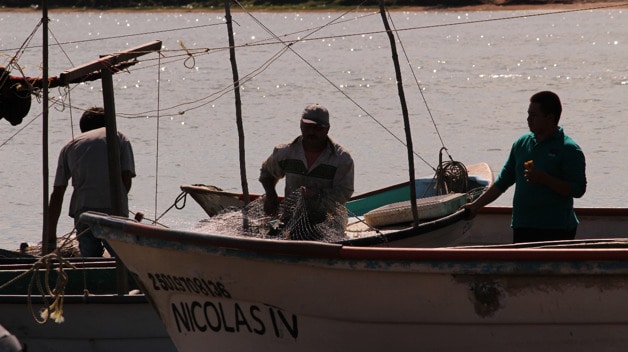 Imagen Placeholder Imagen Placeholder