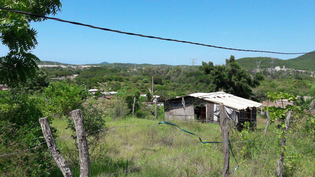 Desplazados de Tepuche regresan a sus hogares; Bienestar apoya en su retorno